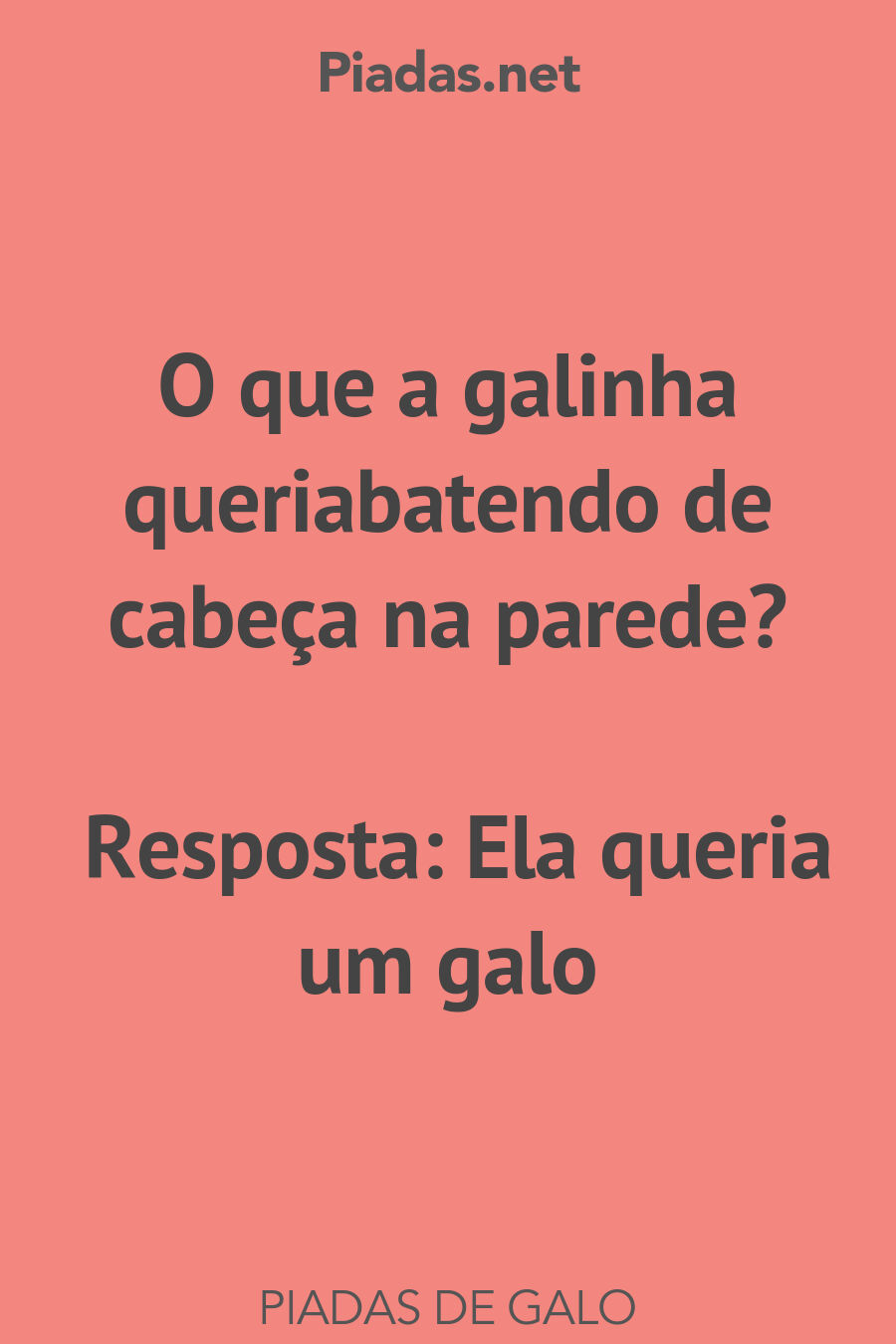 galo piadas