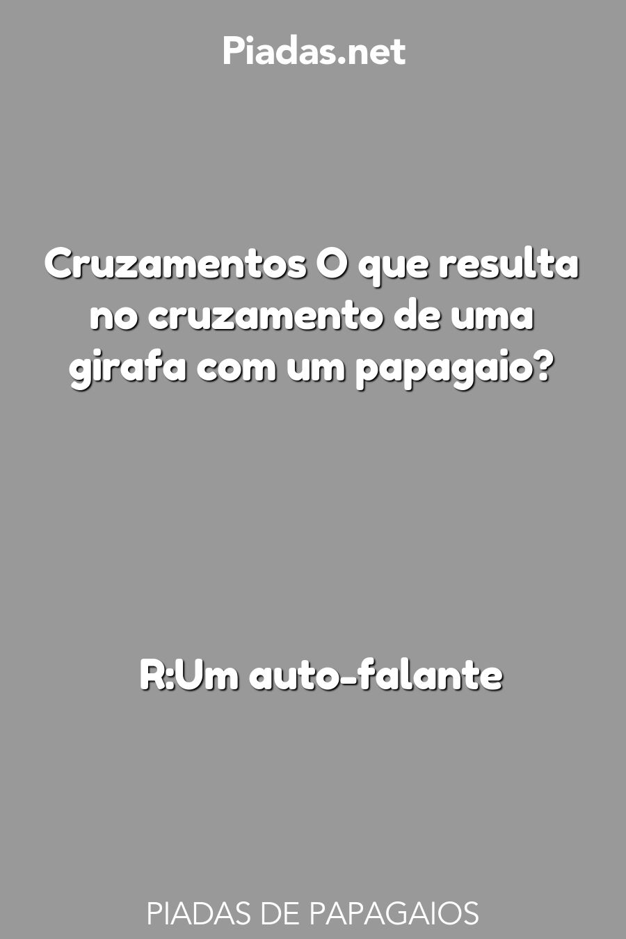 papagaios piadas